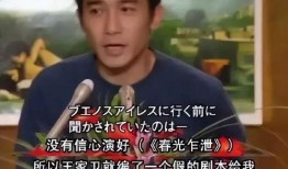 董勇爆料王家卫视视频,独家视频曝光惊人真相